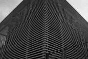 DSC03650